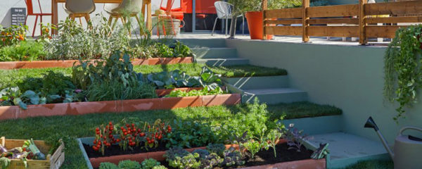 jardin potager